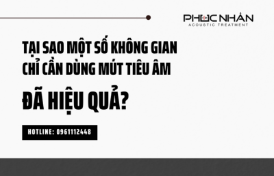 TẠI SAO MỘT SỐ KHÔNG GIAN CHỈ CẦN DÙNG MÚT TIÊU ÂM ĐÃ THẤY HIỆU QUẢ?